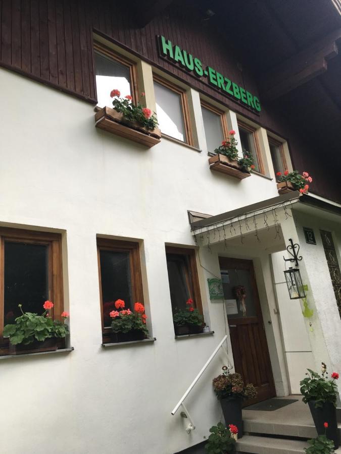 Haus-Erzberg Bed & Breakfast Vordernberg Bagian luar foto