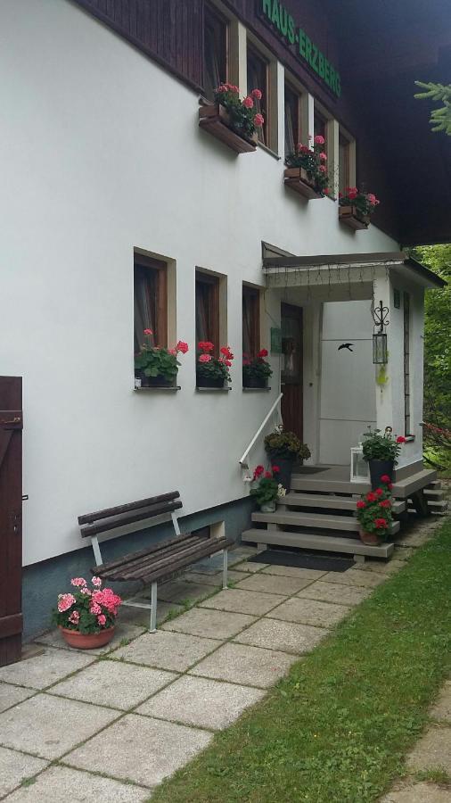 Haus-Erzberg Bed & Breakfast Vordernberg Bagian luar foto