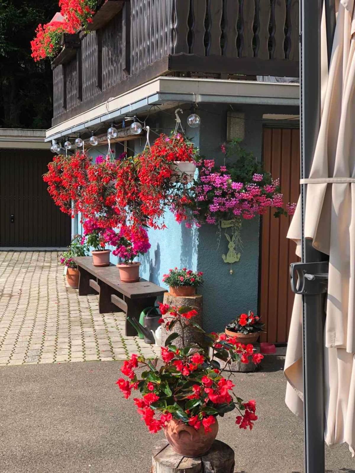 Haus-Erzberg Bed & Breakfast Vordernberg Bagian luar foto