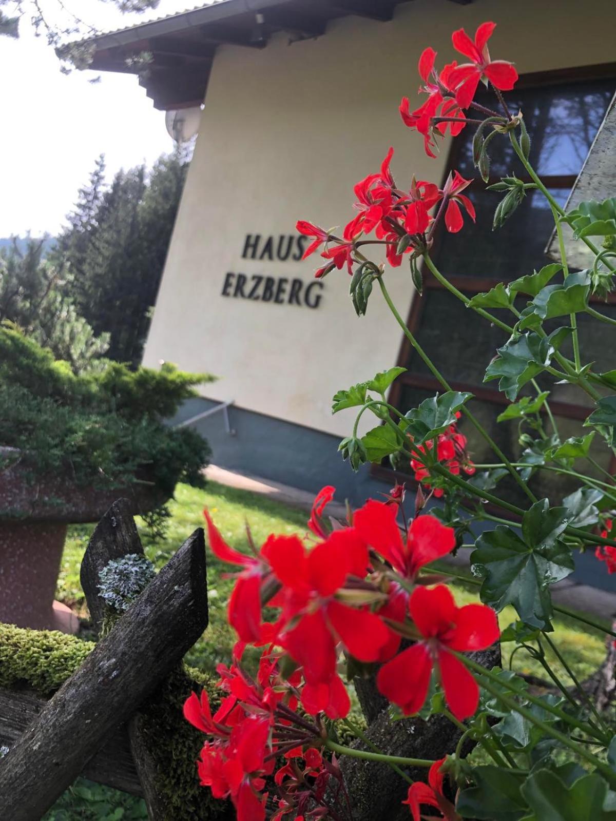Haus-Erzberg Bed & Breakfast Vordernberg Bagian luar foto